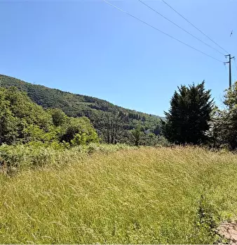 Foto annuncio 33