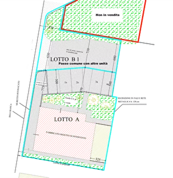 Foto annuncio 17