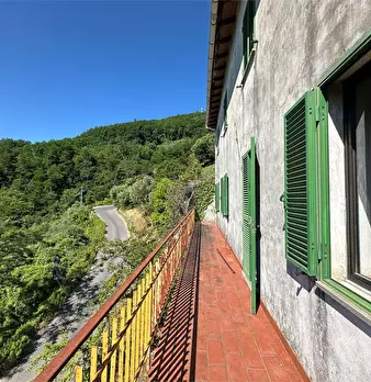 Foto annuncio 34