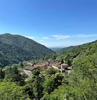 Foto annuncio 36