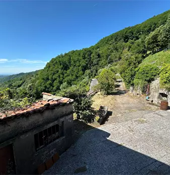 Foto annuncio 38