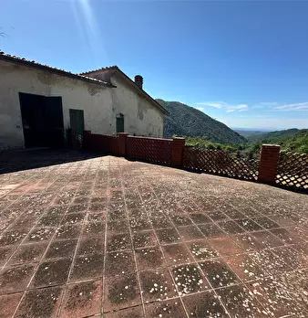 Foto annuncio 40