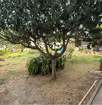 Foto annuncio 35