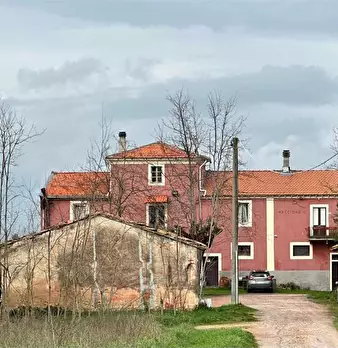 Foto annuncio 7