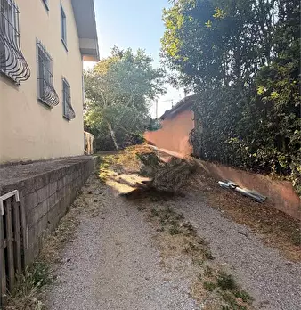 Foto annuncio 21