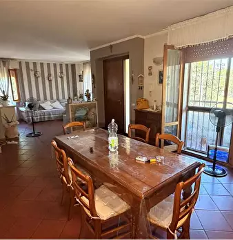 Foto annuncio 7