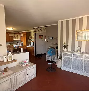 Foto annuncio 4