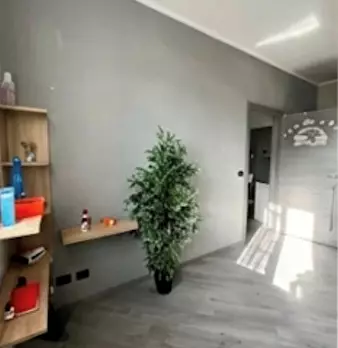 Foto annuncio 11