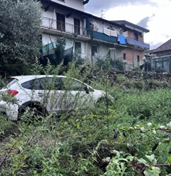 Foto annuncio 11