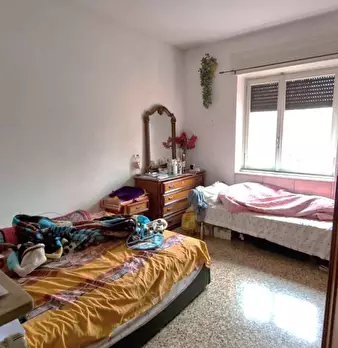 Foto annuncio 12
