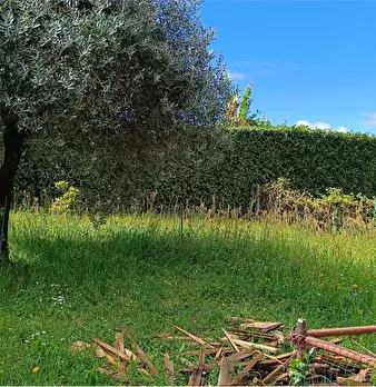 Foto annuncio 15