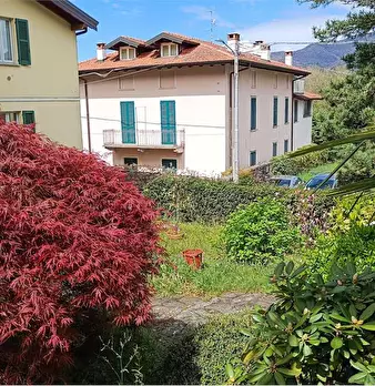 Foto annuncio 18