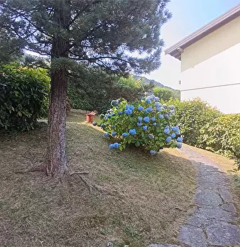 Foto annuncio 22