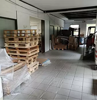 Foto annuncio 7
