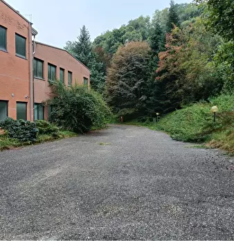 Foto annuncio 11