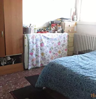 Foto annuncio 9