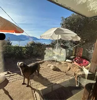 Foto annuncio 12