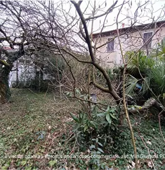 Foto annuncio 22