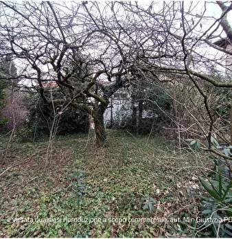 Foto annuncio 25