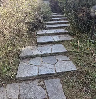 Foto annuncio 6