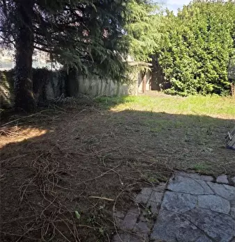 Foto annuncio 11