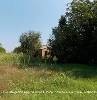 Foto annuncio 18