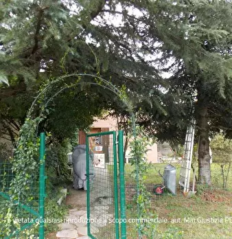 Foto annuncio 19