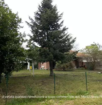 Foto annuncio 20