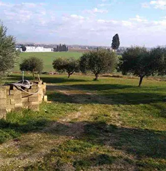 Foto annuncio 1