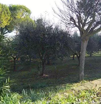 Foto annuncio 2