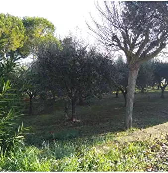 Foto annuncio 5
