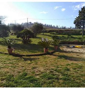 Foto annuncio 6