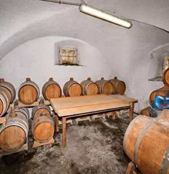 Foto annuncio 18