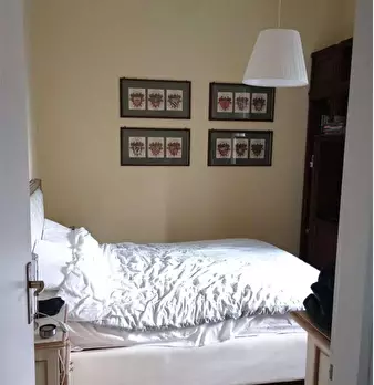 Foto annuncio 11