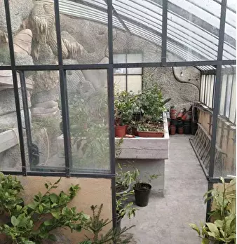 Foto annuncio 17