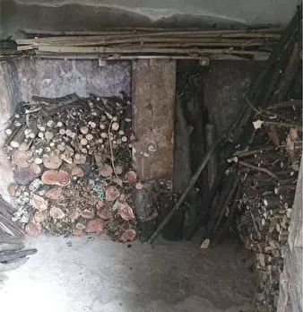 Foto annuncio 21