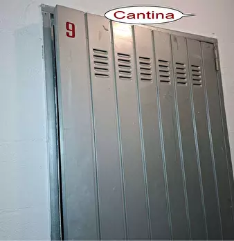 Foto annuncio 8