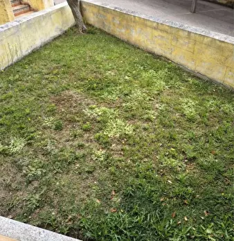Foto annuncio 6