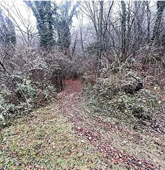 Foto annuncio 5