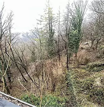 Foto annuncio 6