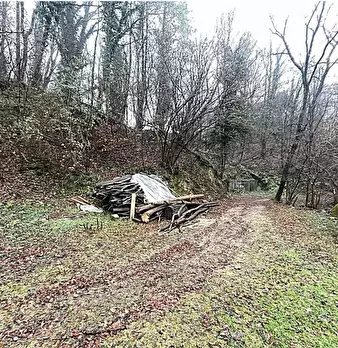 Foto annuncio 10
