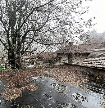 Foto annuncio 11