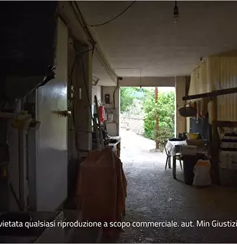 Foto annuncio 7