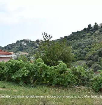 Foto annuncio 12