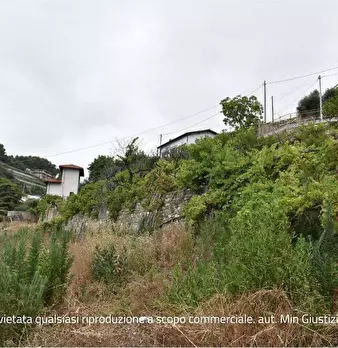Foto annuncio 13
