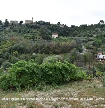 Foto annuncio 15