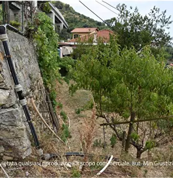 Foto annuncio 21