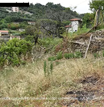 Foto annuncio 27