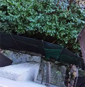 Foto annuncio 7