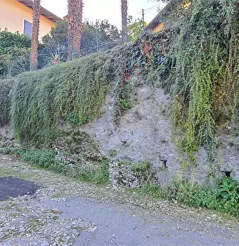 Foto annuncio 30
